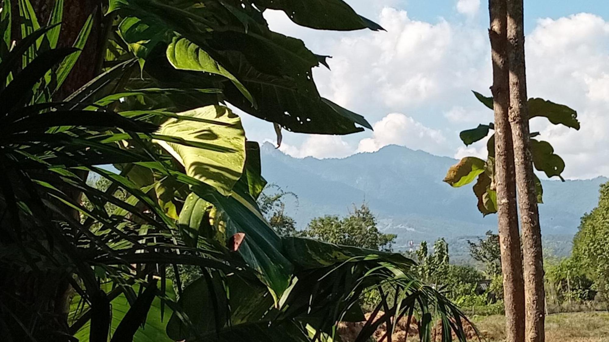 Chill In Pai Hotel Cameră foto